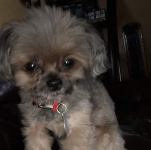 Meet your Posher, Jocelyn